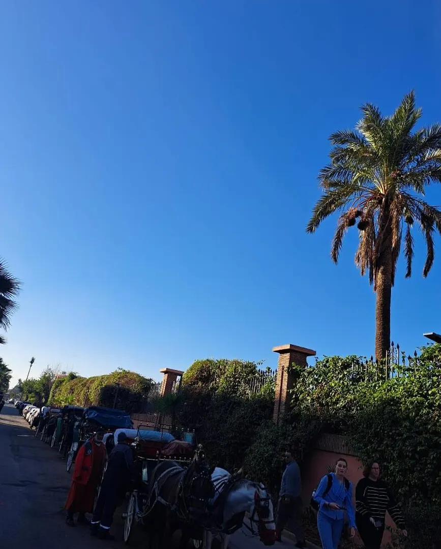 Riad Guests House With View Rooftop Marrakesh