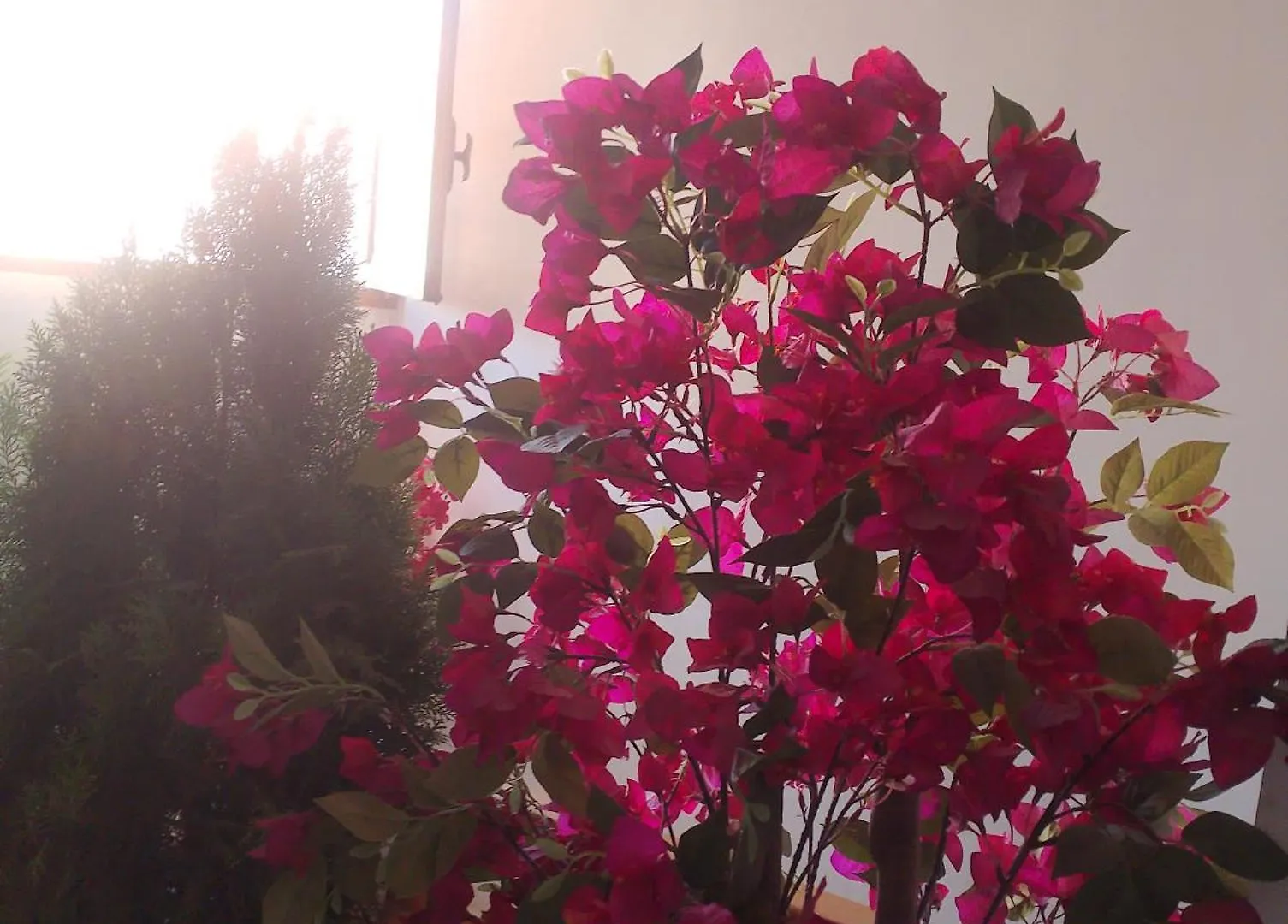 Riad Guests House With View Rooftop Marrakesh Morocco