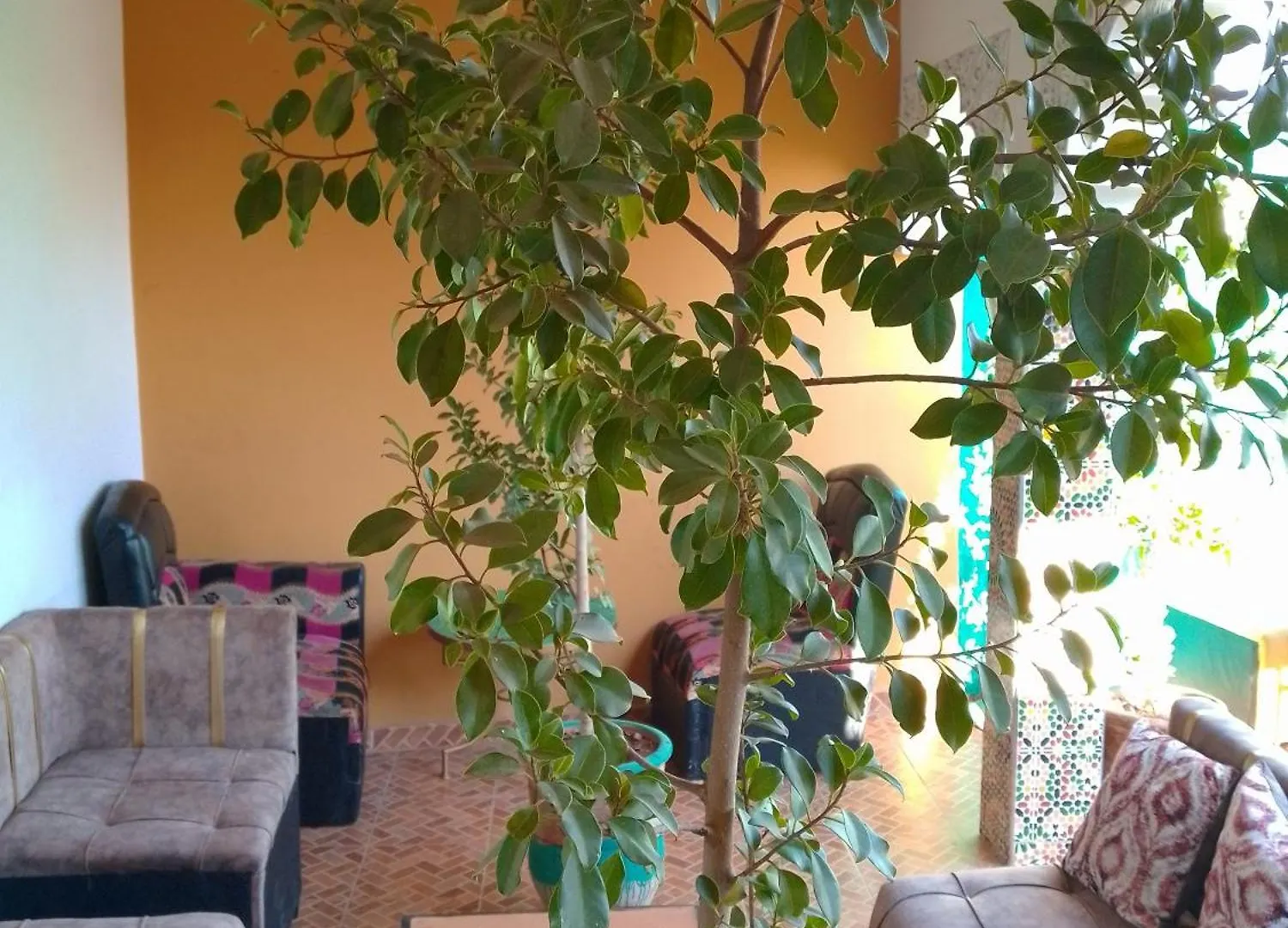 Guests House With View Rooftop Marrakesh Morocco