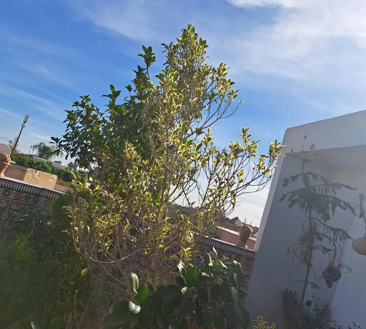 Riad Guests House With View Rooftop Marrakesh